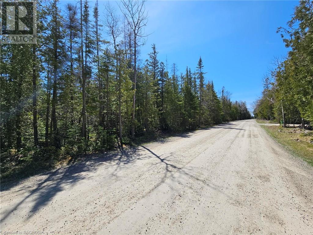 Lot 2 Spry Road, Northern Bruce Peninsula, Ontario  N0H 1W0 - Photo 5 - 40586026