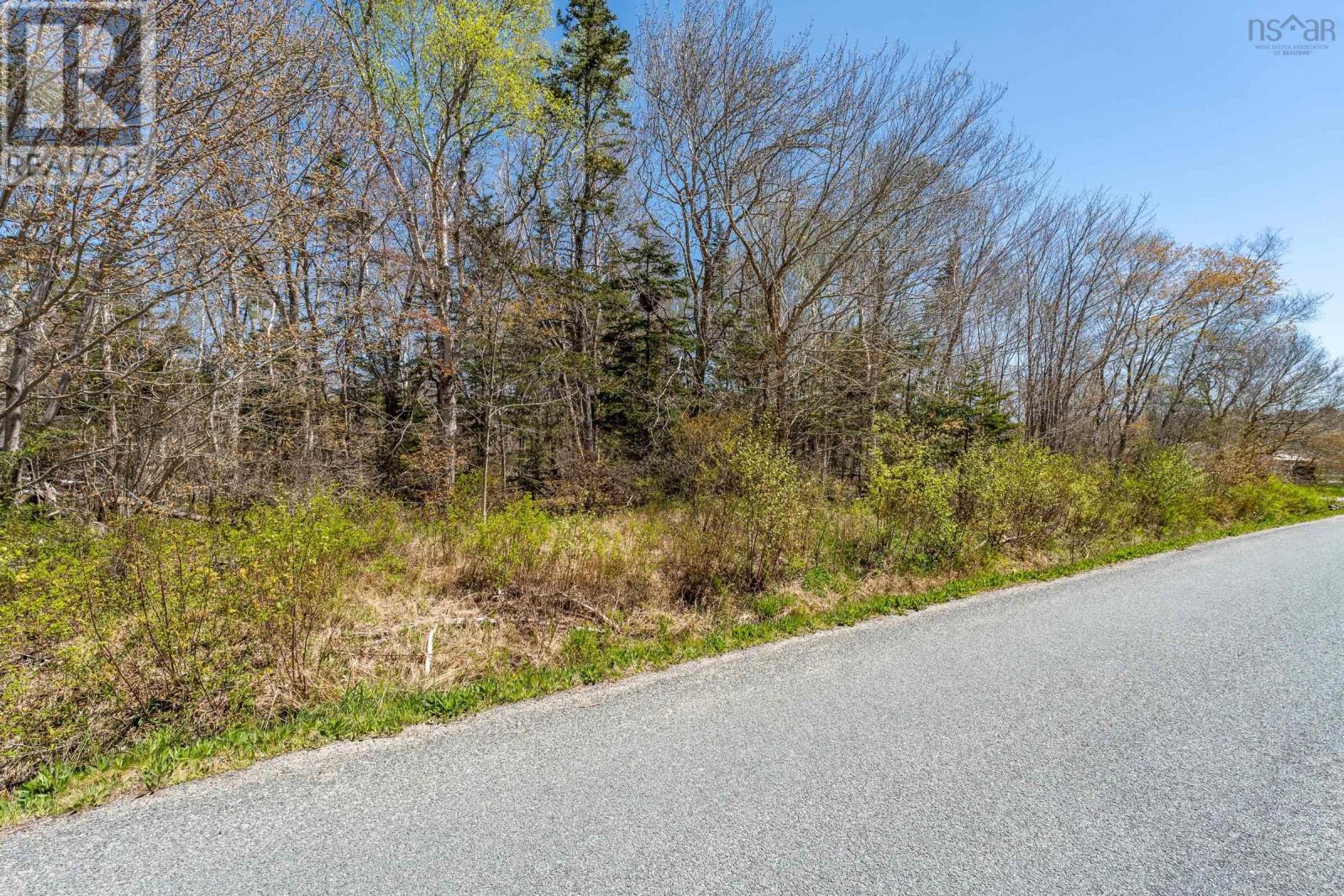 Lorem Ipsum Do, Pleasant Lake, Nova Scotia  B4A  - Photo 6 - DEMO26898729