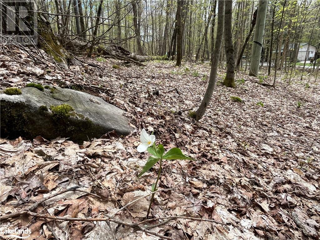 LOT 133 BRENNAN Circle, huntsville, Ontario