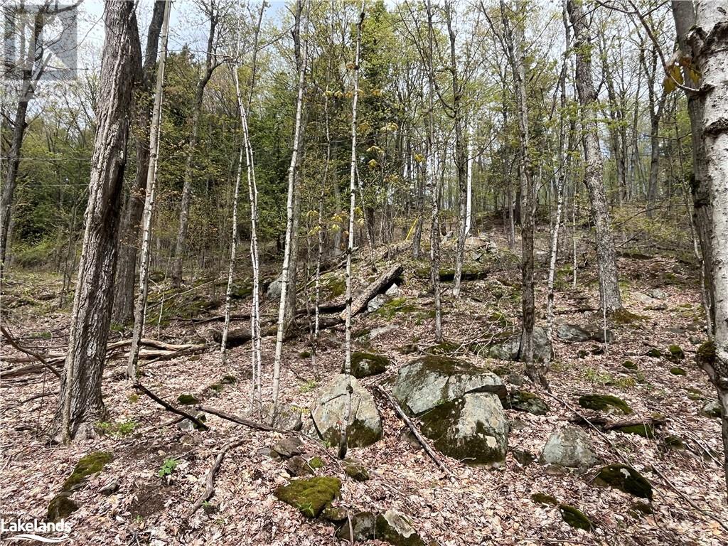 Lot 133 Brennan Circle, Huntsville, Ontario  P1H 2J2 - Photo 3 - 40589095