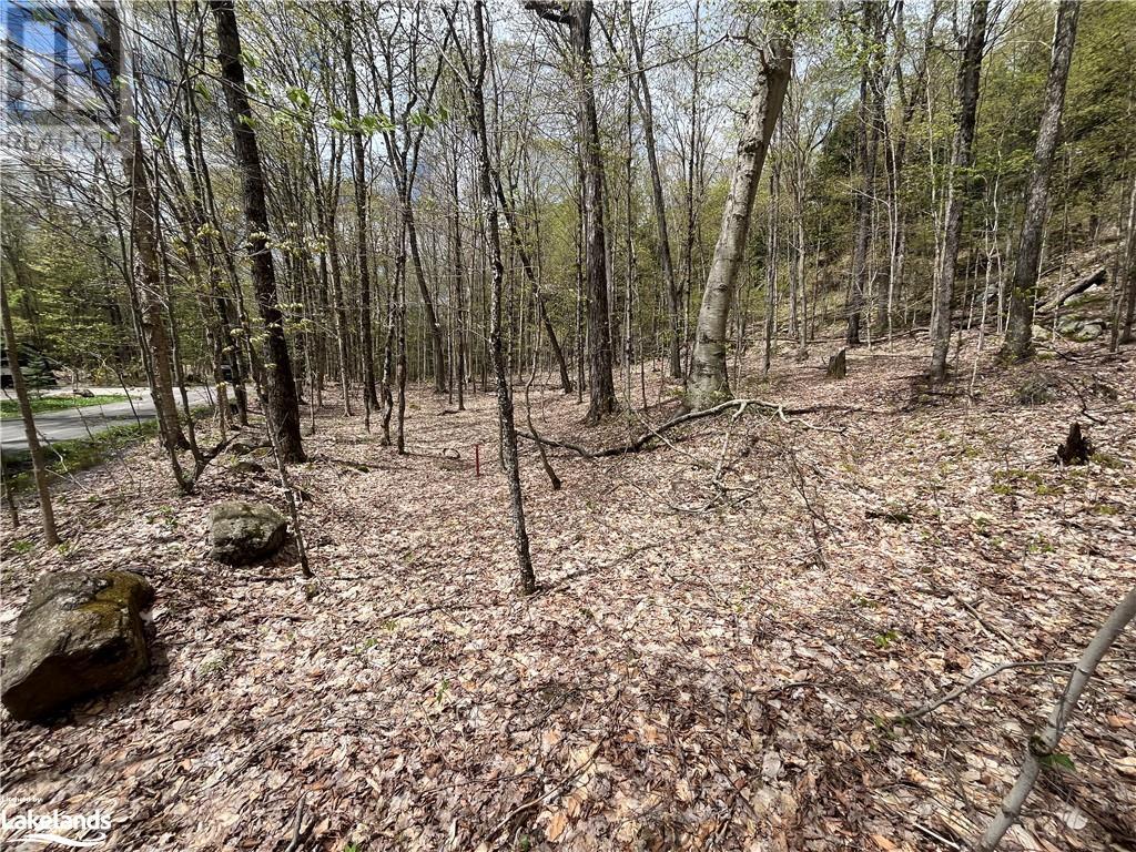 Lot 133 Brennan Circle, Huntsville, Ontario  P1H 2J2 - Photo 5 - 40589095