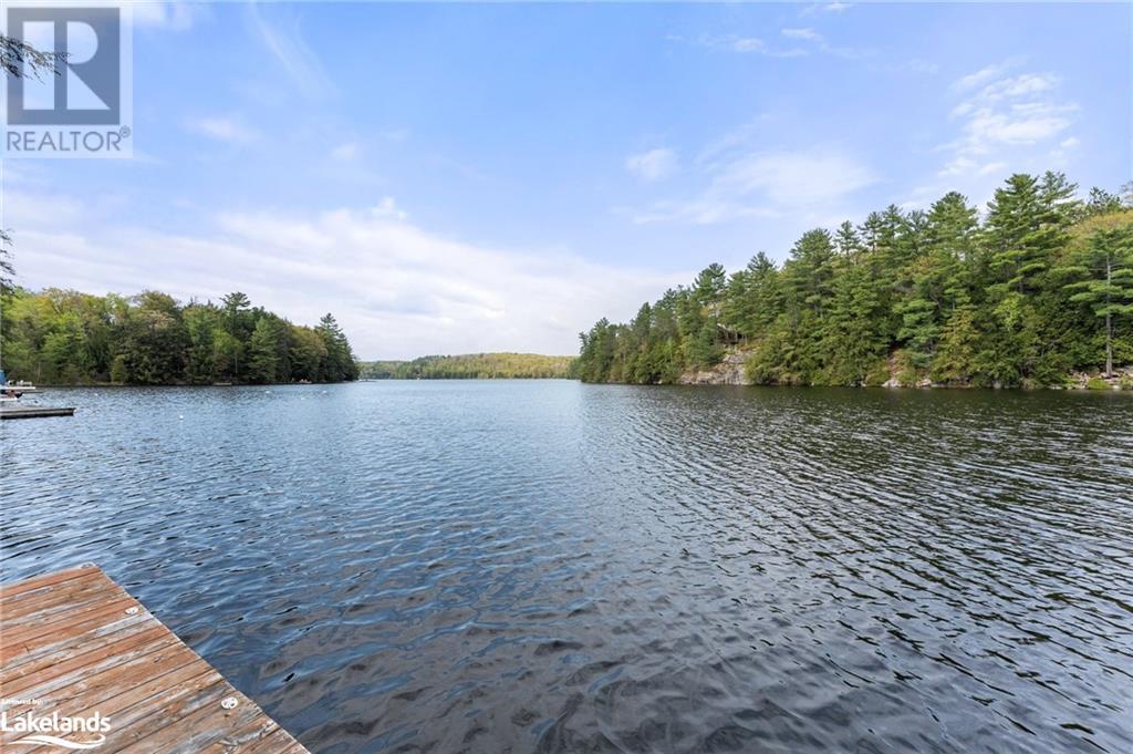 1287 Rackety Trail Road, Minden, Ontario  K0M 2K0 - Photo 4 - 40589720