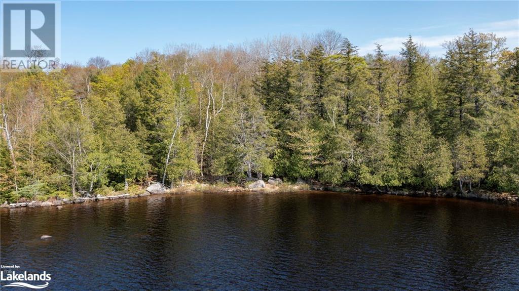 N/a Menominee Lake Road, Baysville, Ontario  P1H 2J3 - Photo 14 - 40587827