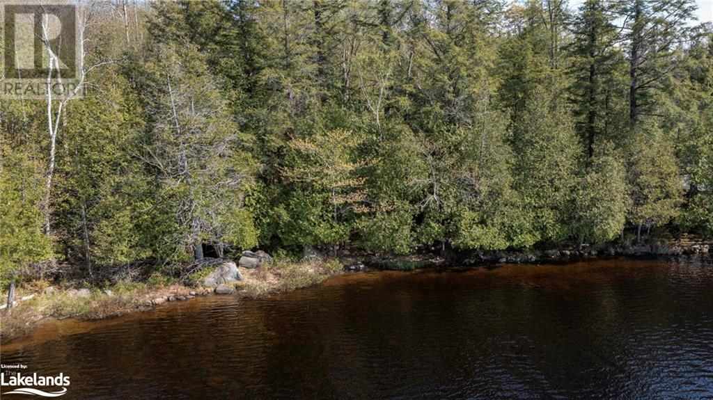 N/a Menominee Lake Road, Baysville, Ontario  P1H 2J3 - Photo 19 - 40587827
