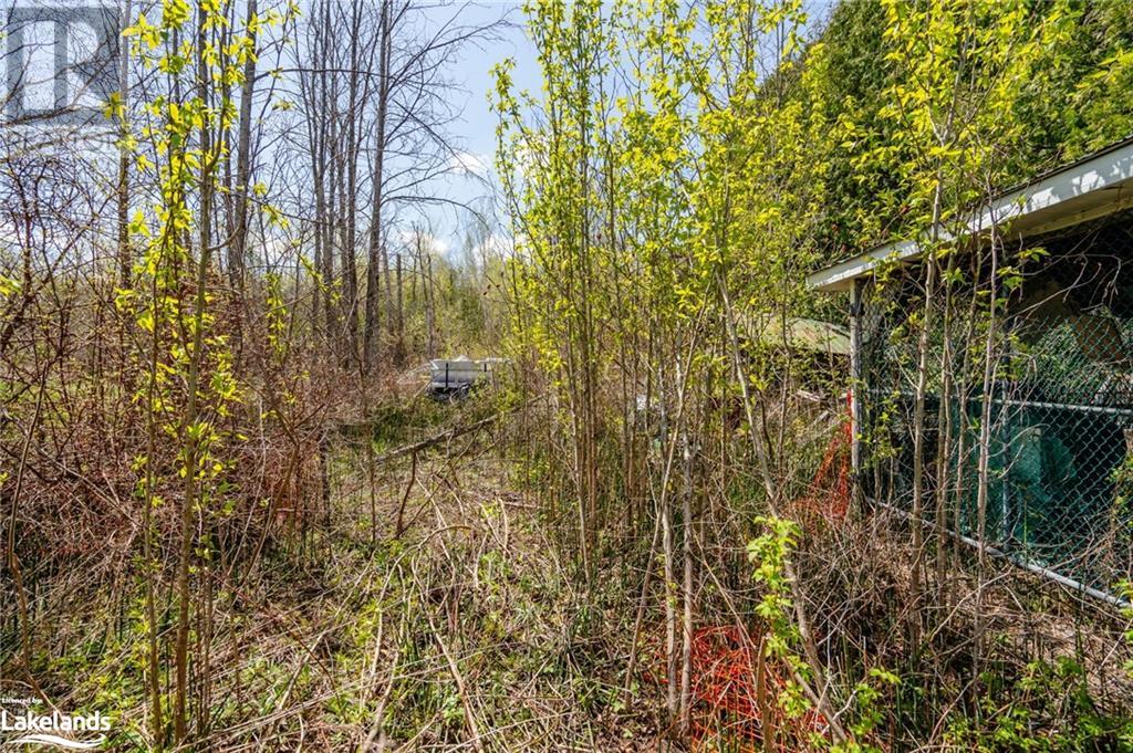 12824 County Road 16, Severn, Ontario  L0K 2C0 - Photo 23 - S10896990