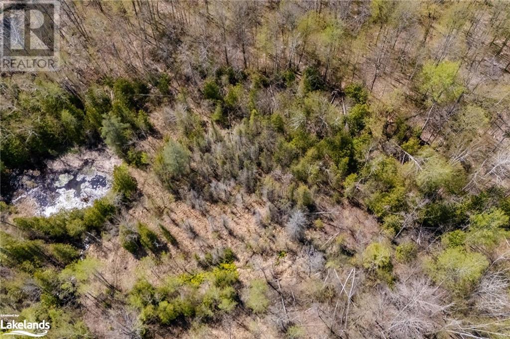 12824 County Road 16, Severn, Ontario  L0K 2C0 - Photo 4 - S10896990