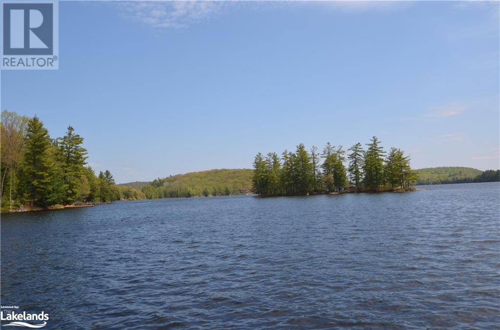 10835 Raven - West Shore Lake, Dorset, Ontario  P0A 1E0 - Photo 29 - 40585504