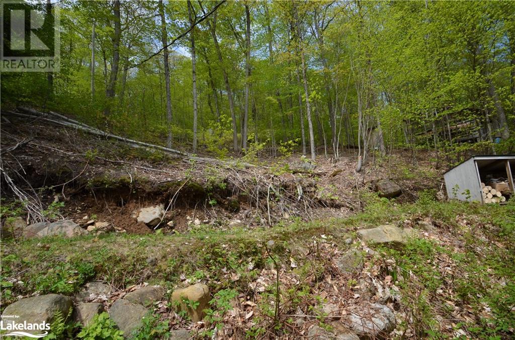10835 Raven - West Shore Lake, Dorset, Ontario  P0A 1E0 - Photo 25 - 40585504