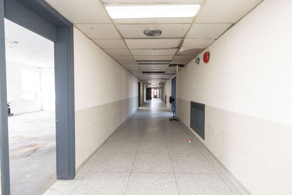 337 Gage Avenue N, Hamilton, Ontario  L8L 7A8 - Photo 43 - H4193565