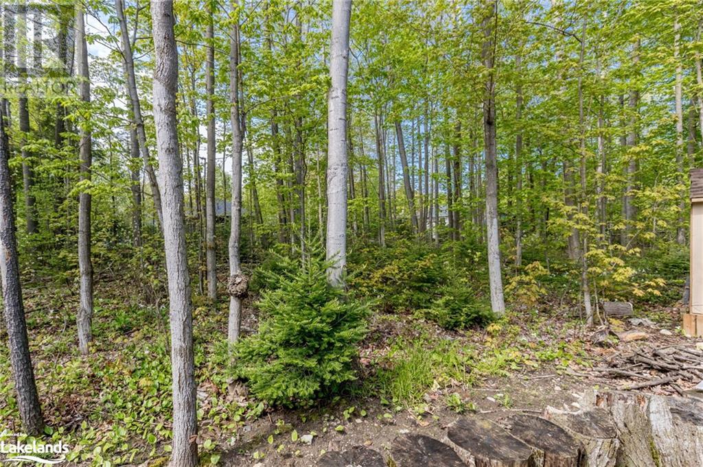 32 Pinecone Avenue, Tiny, Ontario  L9M 0J2 - Photo 39 - 40587612