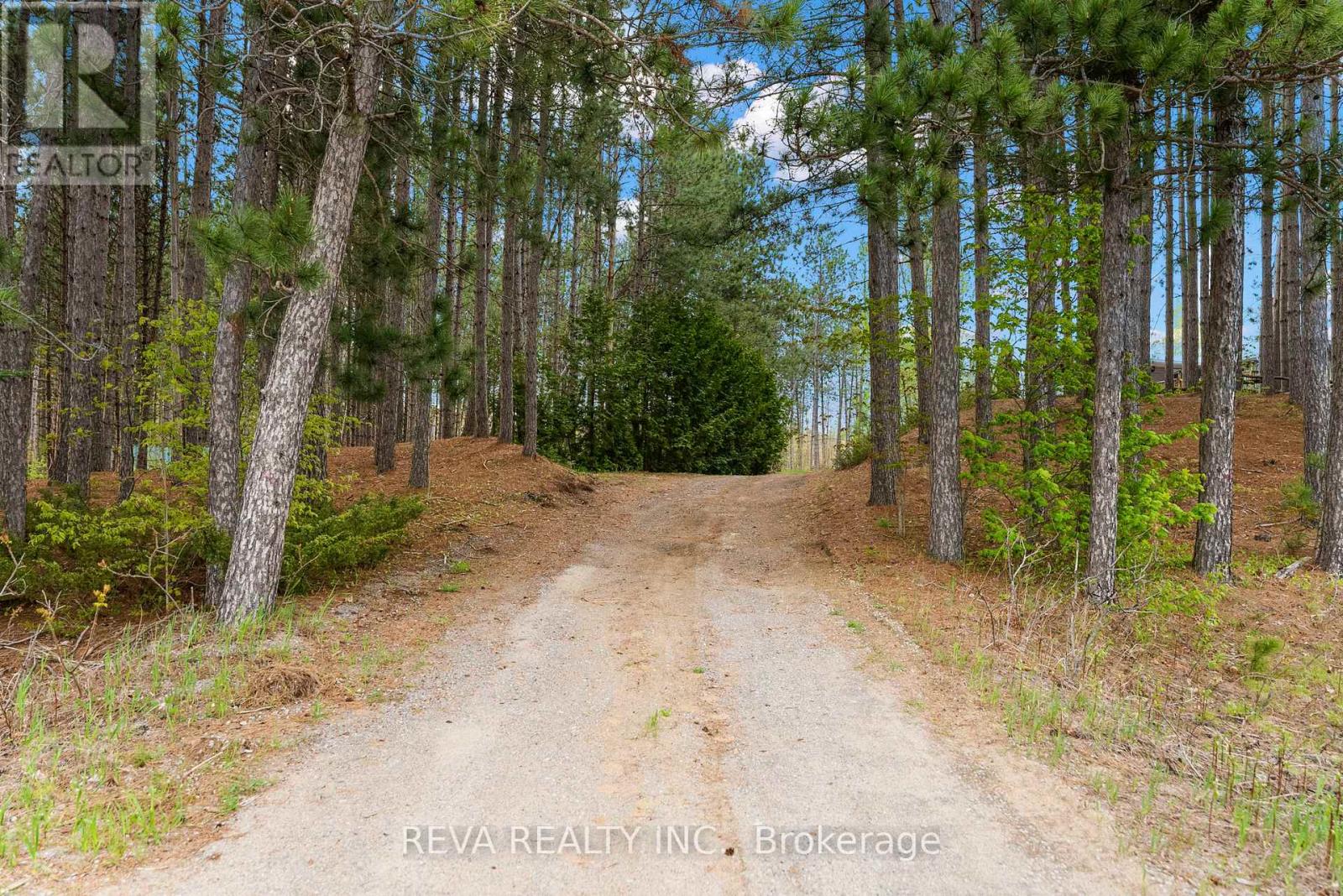 5073 Weslemkoon Lake Road, Tudor & Cashel, Ontario  K0L 1W0 - Photo 30 - X8342746