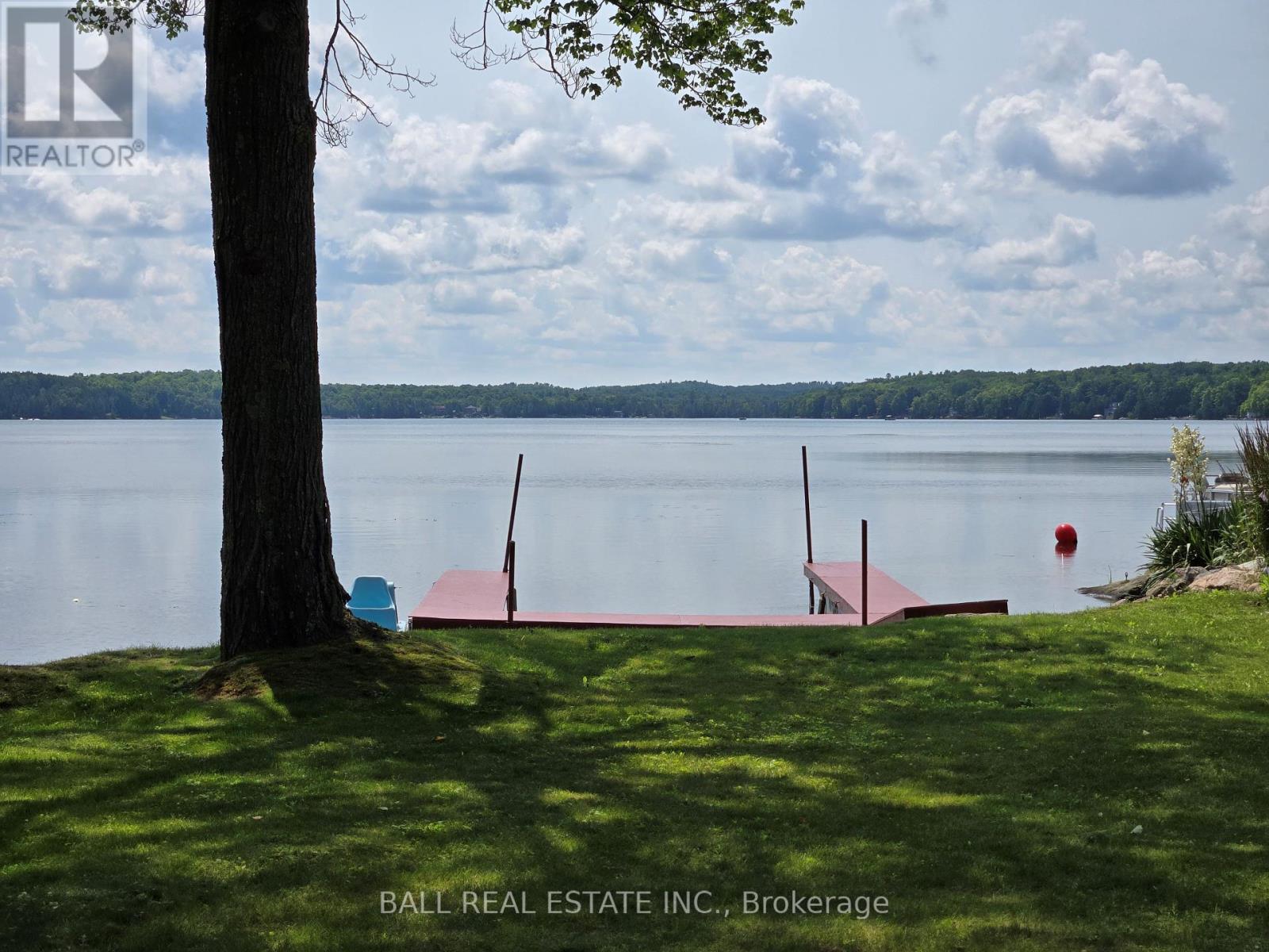 935 Drain Drive, Douro-Dummer, Ontario  K0L 2H0 - Photo 36 - X8342756