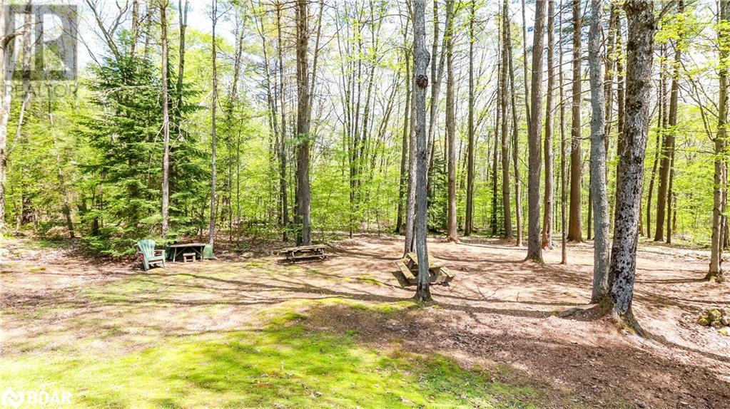 3711 Brunel Road, Baysville, Ontario  P0B 1A0 - Photo 7 - 40589297