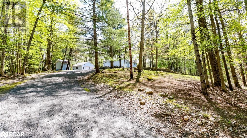 3711 Brunel Road, Baysville, Ontario  P0B 1A0 - Photo 2 - 40589297