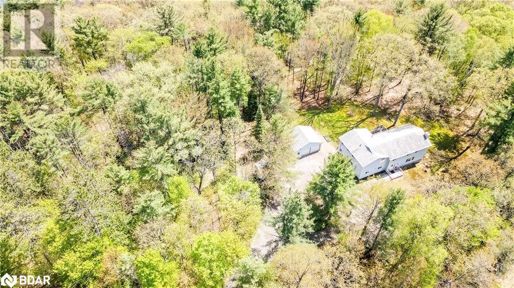 3711 Brunel Road, Baysville, Ontario  P0B 1A0 - Photo 11 - 40589297