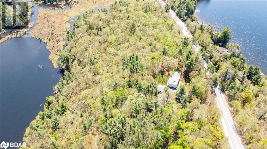 3711 Brunel Road, Baysville, Ontario  P0B 1A0 - Photo 14 - 40589297