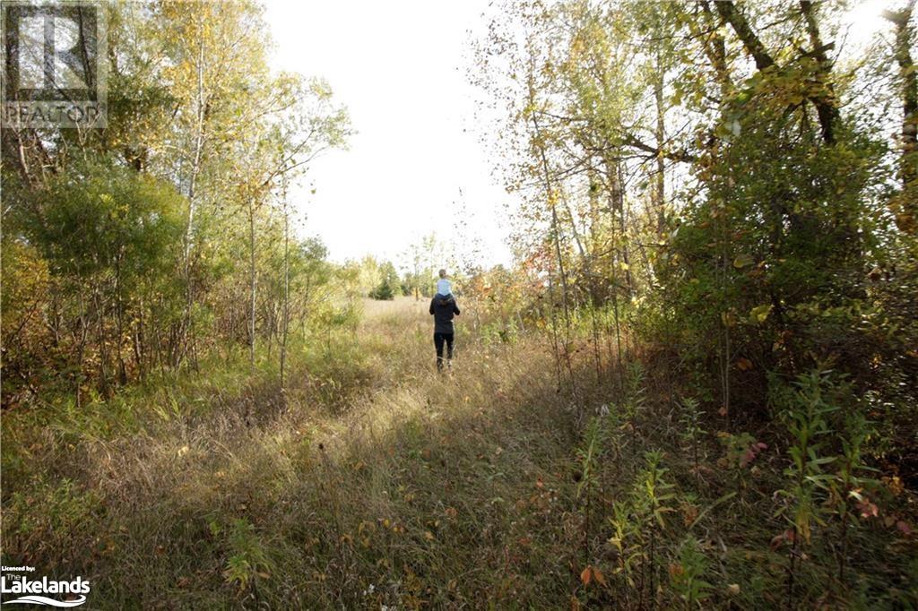 0 3/4 Sunnidale Sideroad, Clearview, Ontario  L0M 1S0 - Photo 2 - 40590093