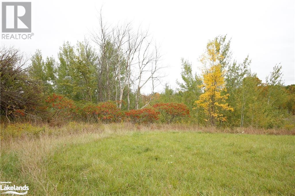0 3/4 Sunnidale Sideroad, Clearview, Ontario  L0M 1S0 - Photo 4 - 40590093
