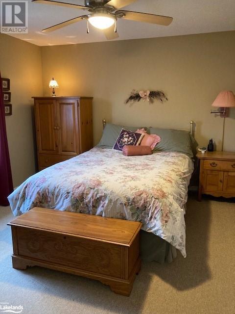 389 Walnut Street, Collingwood, Ontario  L9Y 3E2 - Photo 13 - 40589122