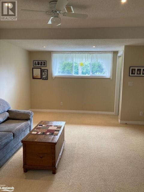 389 Walnut Street, Collingwood, Ontario  L9Y 3E2 - Photo 20 - 40589122
