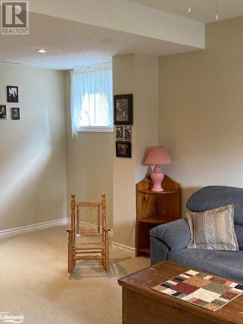 389 Walnut Street, Collingwood, Ontario  L9Y 3E2 - Photo 22 - 40589122