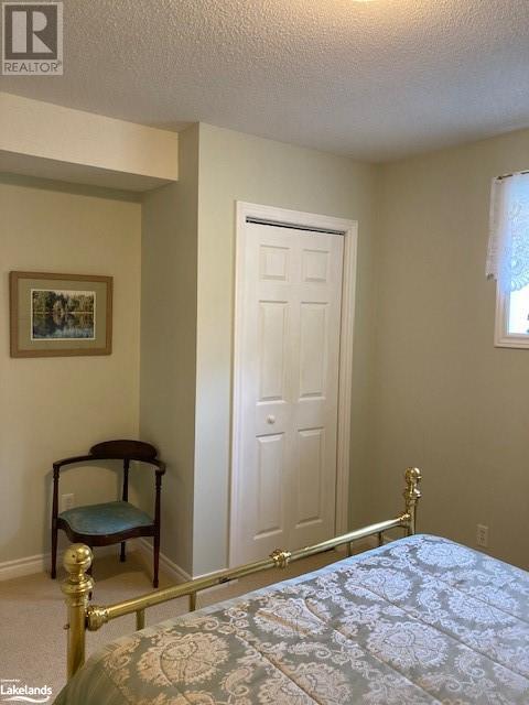 389 Walnut Street, Collingwood, Ontario  L9Y 3E2 - Photo 26 - 40589122