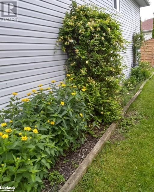 389 Walnut Street, Collingwood, Ontario  L9Y 3E2 - Photo 32 - 40589122