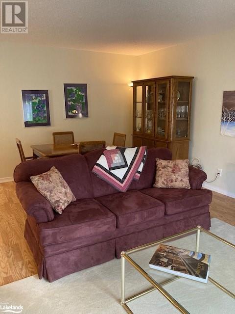 389 Walnut Street, Collingwood, Ontario  L9Y 3E2 - Photo 9 - 40589122