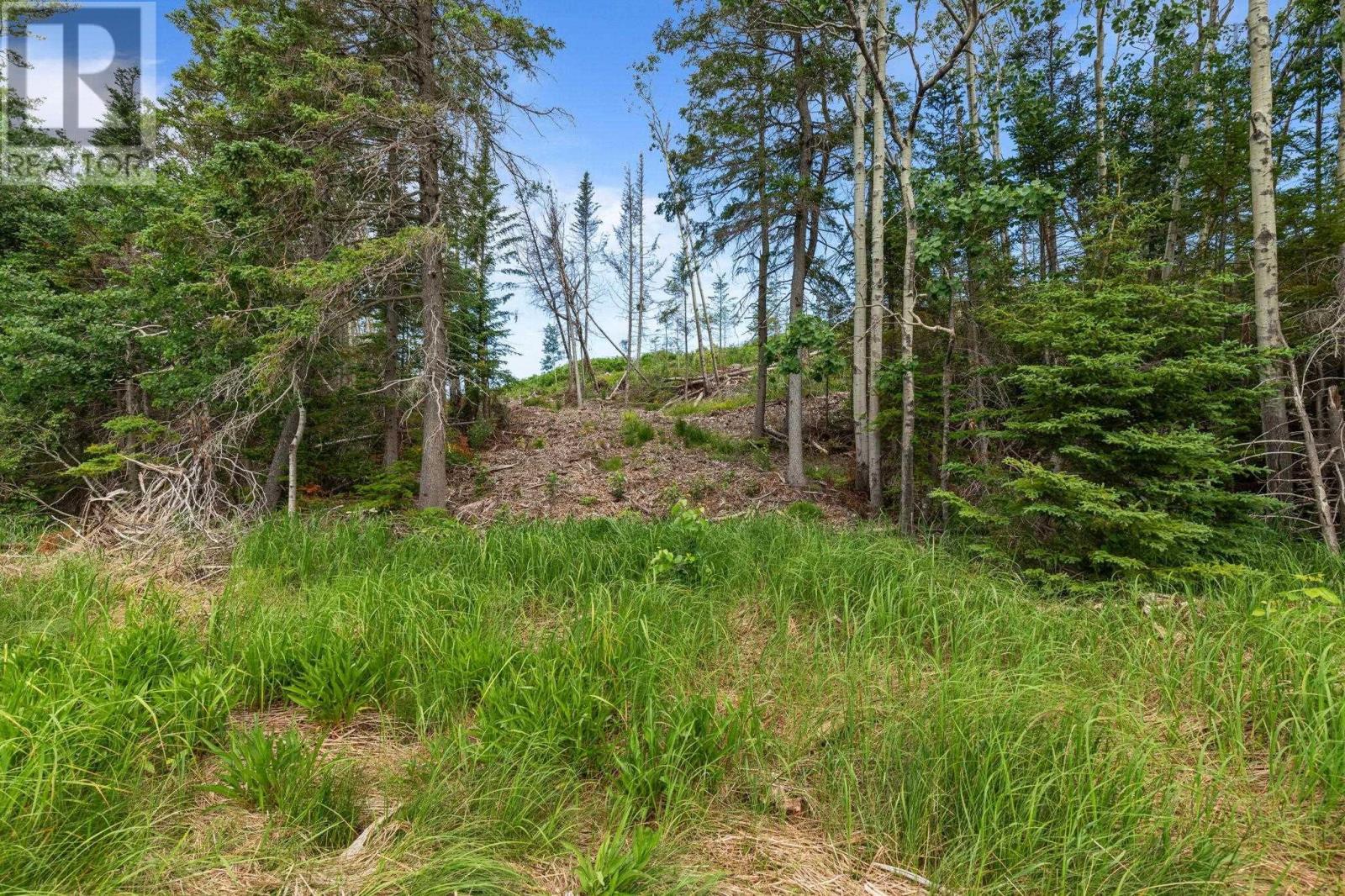 Lot 1 Tattrie Settlement Road, Tatamagouche, Nova Scotia  B0K 1V0 - Photo 11 - 202409034