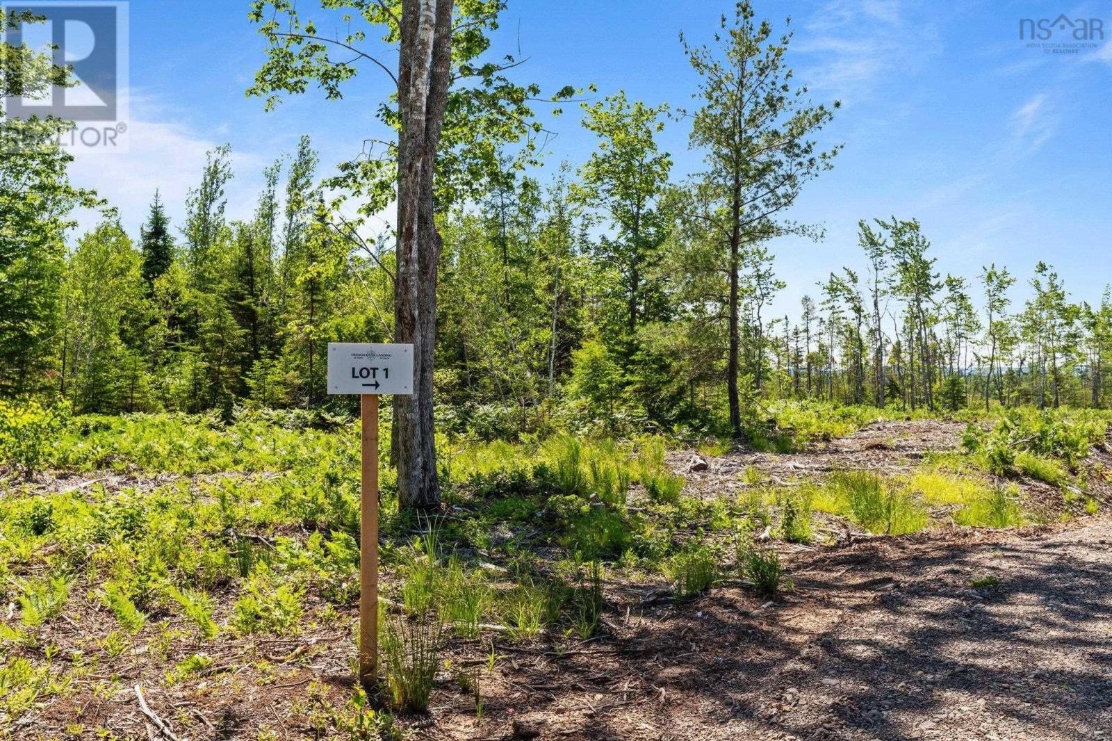 Lot 2 Tattrie Settlement Road, Tatamagouche, Nova Scotia  B0K 1V0 - Photo 17 - 202409036