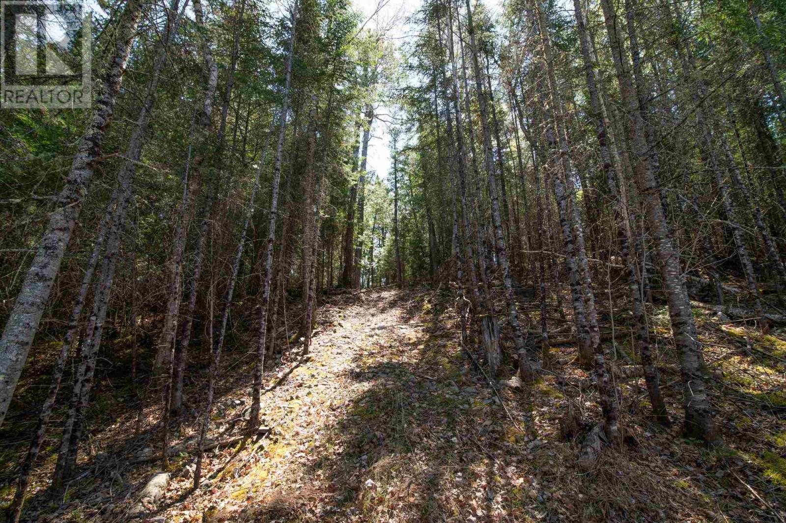 Lot 4 Crow Lake, Sioux Narrows-Nestor Falls, Ontario  P0X 1K0 - Photo 25 - TB241288