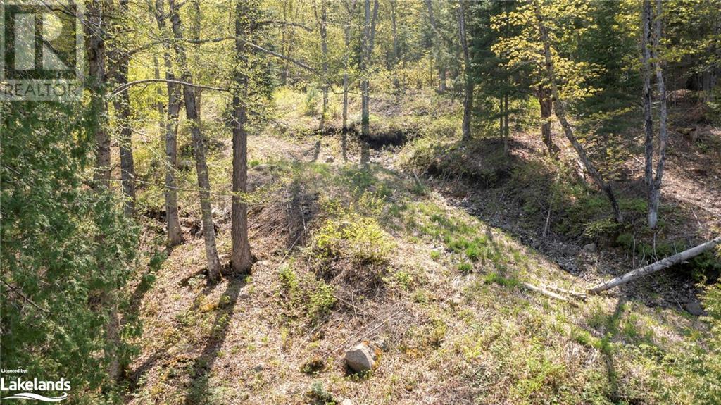5 Lodge Lane, Sundridge, Ontario  P0A 1Z0 - Photo 15 - 40588015
