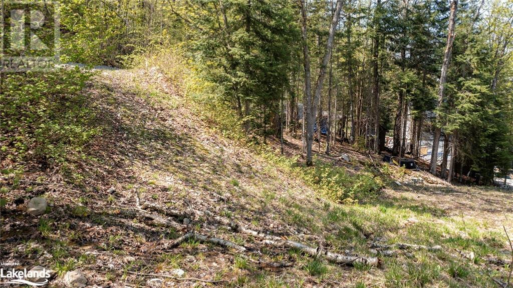 5 Lodge Lane, Sundridge, Ontario  P0A 1Z0 - Photo 18 - 40588015