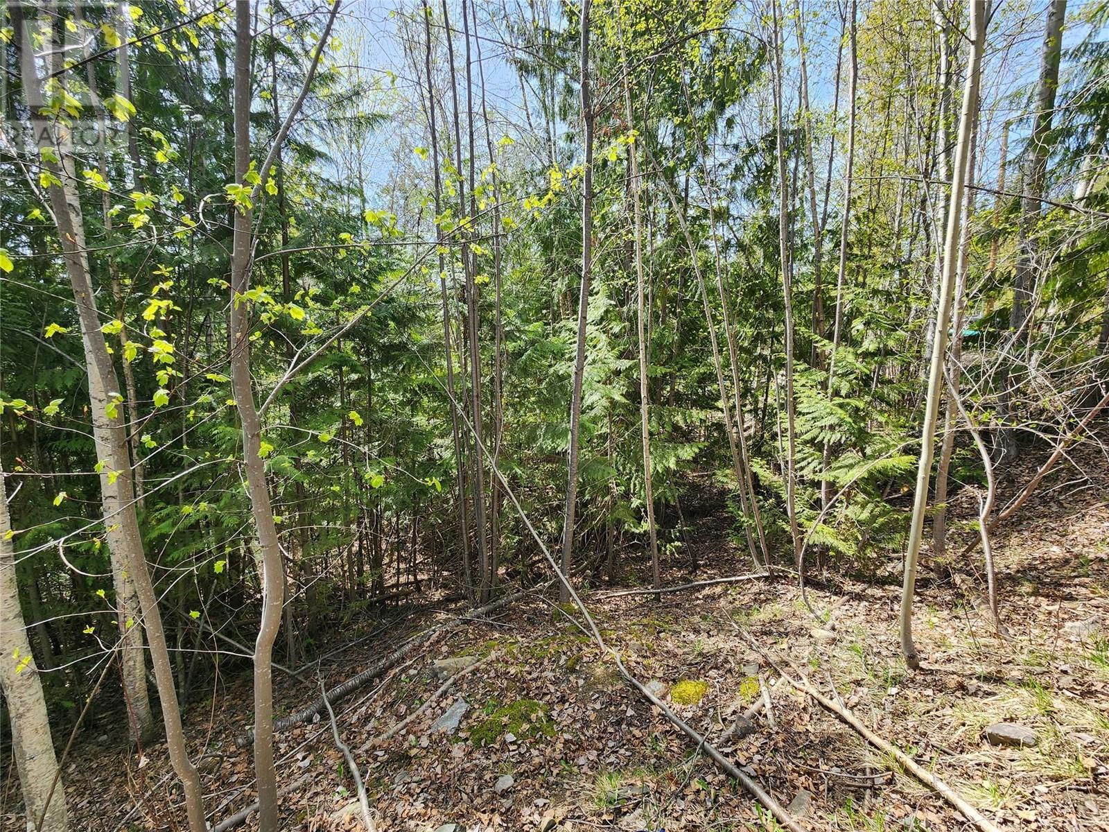 Lot 206 Estate Drive, anglemont, British Columbia