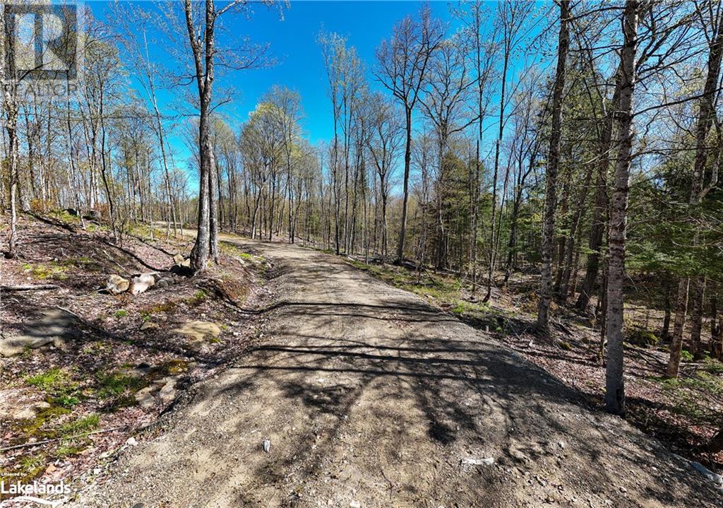 1180 Heney Lake Road, Baysville, Ontario  P0B 1M0 - Photo 9 - 40584594