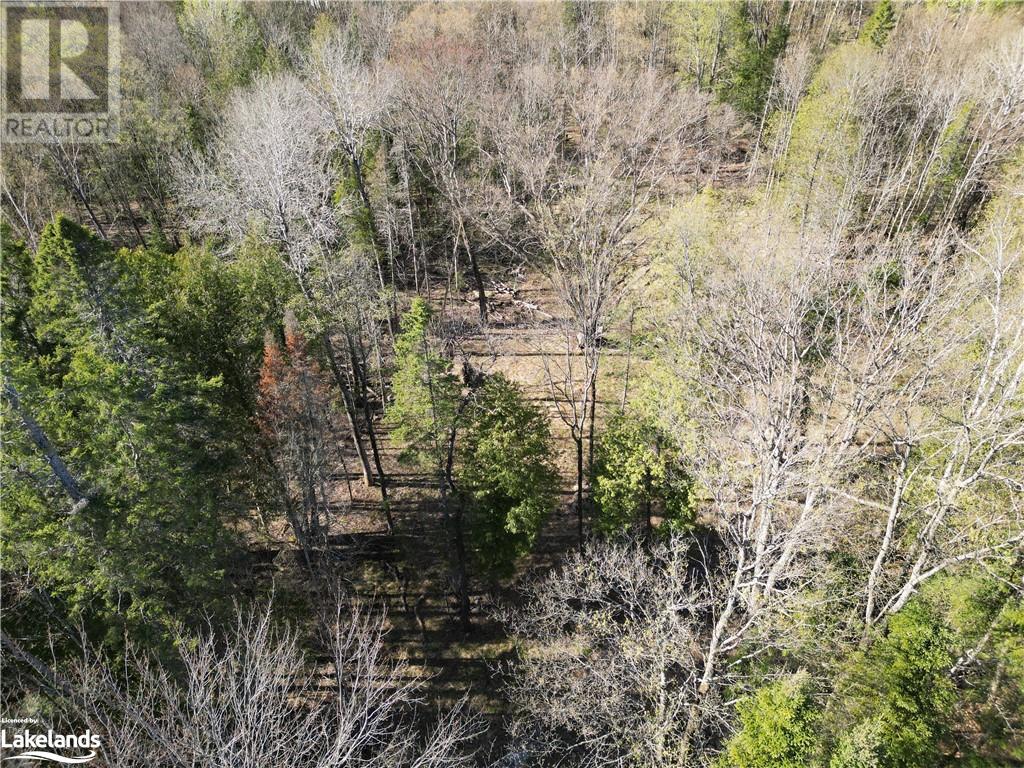 0 North Drive, Eagle Lake, Ontario  K0M 1M0 - Photo 8 - 40585673
