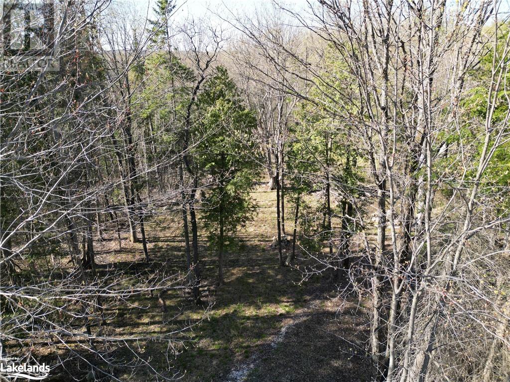 0 North Drive, Eagle Lake, Ontario  K0M 1M0 - Photo 6 - 40585673