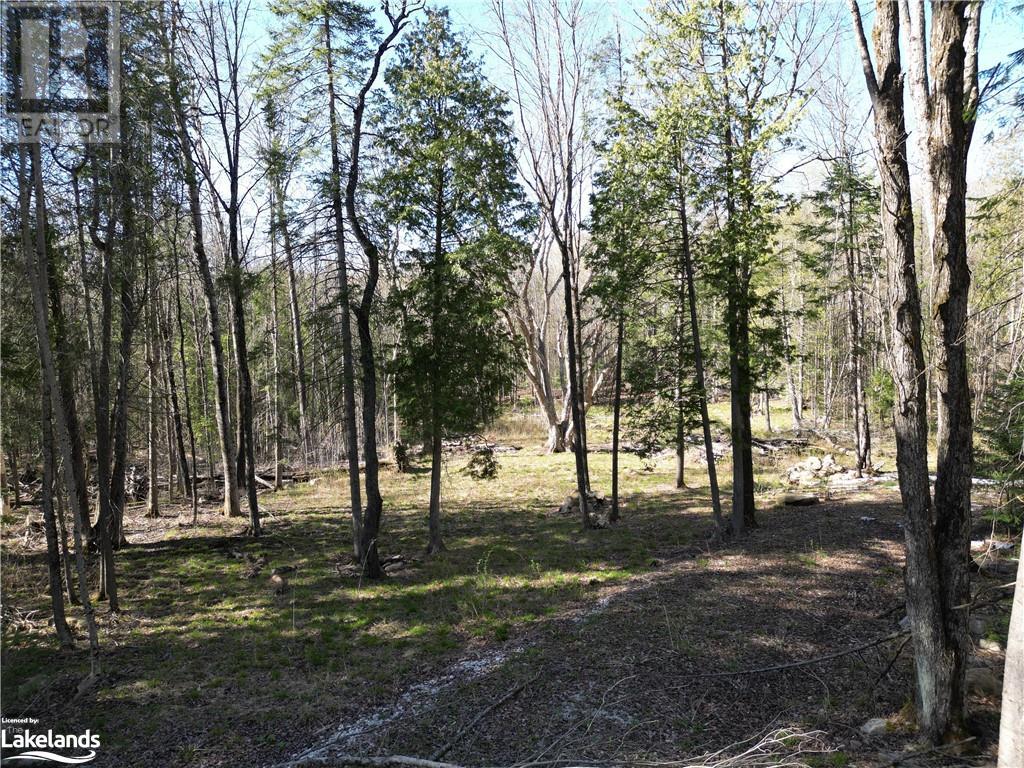 0 North Drive, Eagle Lake, Ontario  K0M 1M0 - Photo 5 - 40585673
