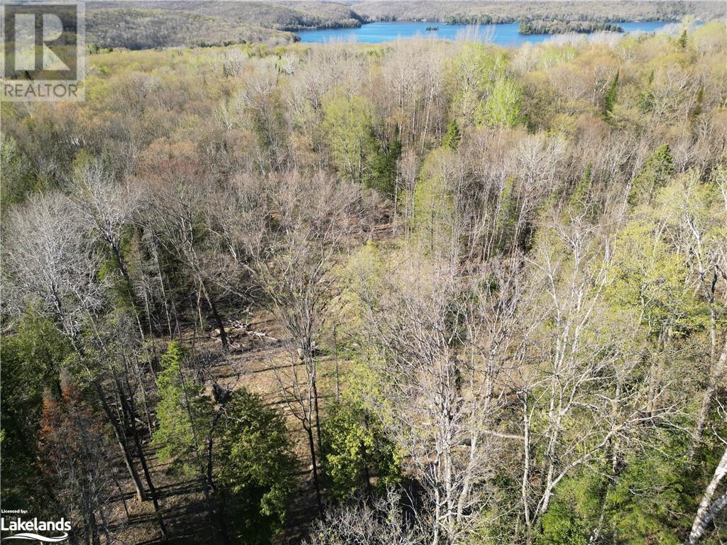 0 North Drive, Eagle Lake, Ontario  K0M 1M0 - Photo 10 - 40585673