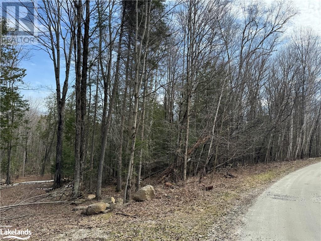 0 North Drive, Eagle Lake, Ontario  K0M 1M0 - Photo 3 - 40585673