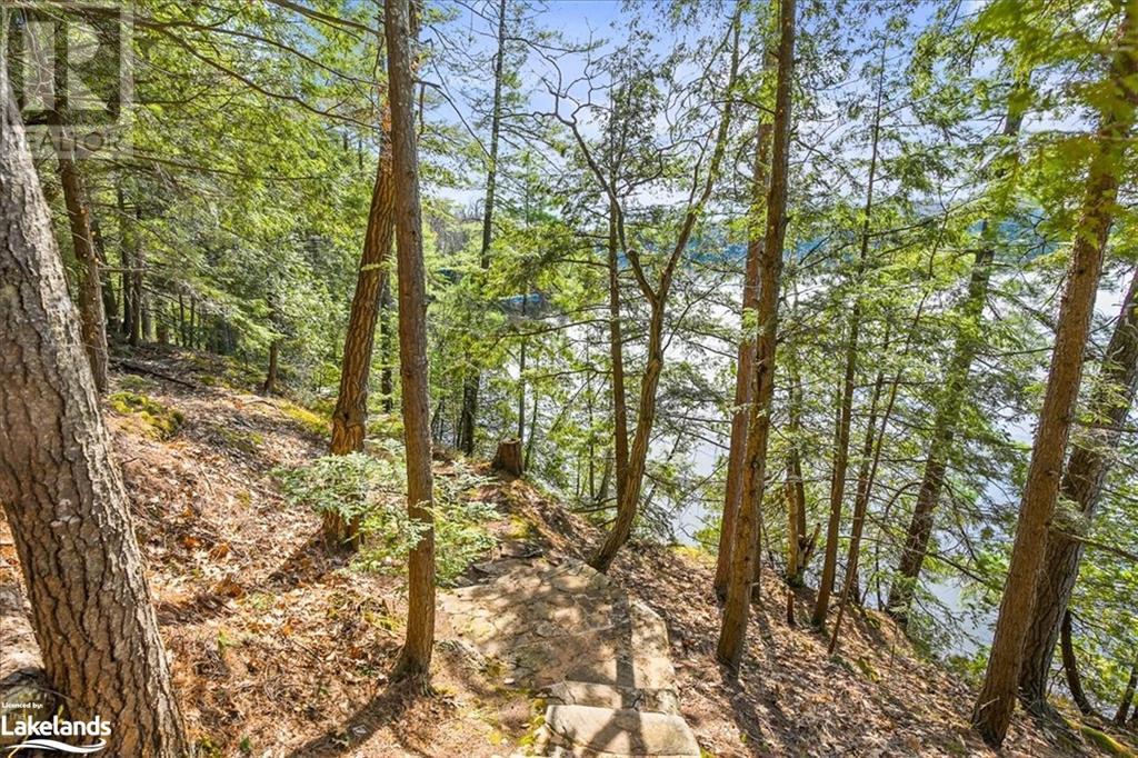 12865 Little Hawk - South Shore Lake, Haliburton, Ontario  K0M 1J1 - Photo 24 - 40585576