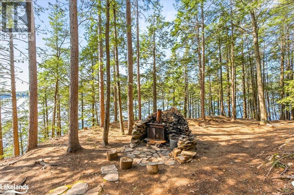 12865 Little Hawk - South Shore Lake, Haliburton, Ontario  K0M 1J1 - Photo 25 - 40585576