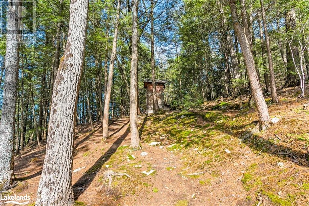 12865 Little Hawk - South Shore Lake, Haliburton, Ontario  K0M 1J1 - Photo 27 - 40585576