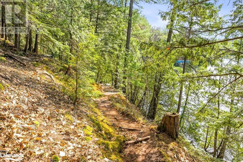 12865 Little Hawk - South Shore Lake, Haliburton, Ontario  K0M 1J1 - Photo 29 - 40585576