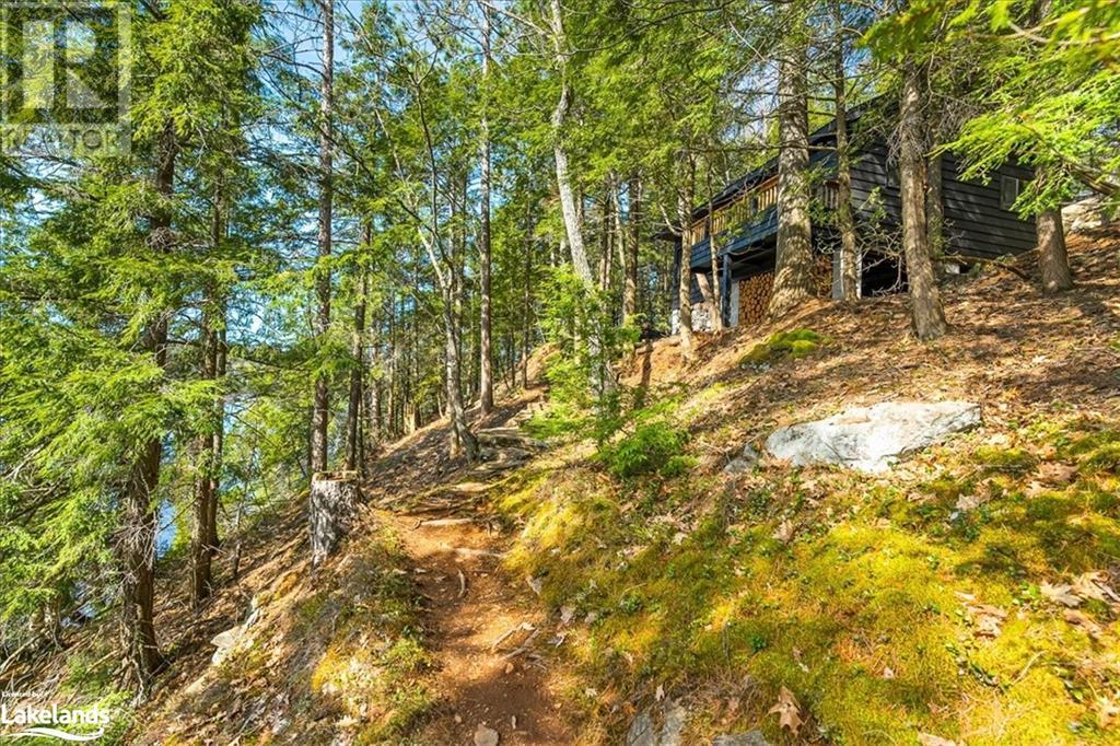 12865 Little Hawk - South Shore Lake, Haliburton, Ontario  K0M 1J1 - Photo 30 - 40585576