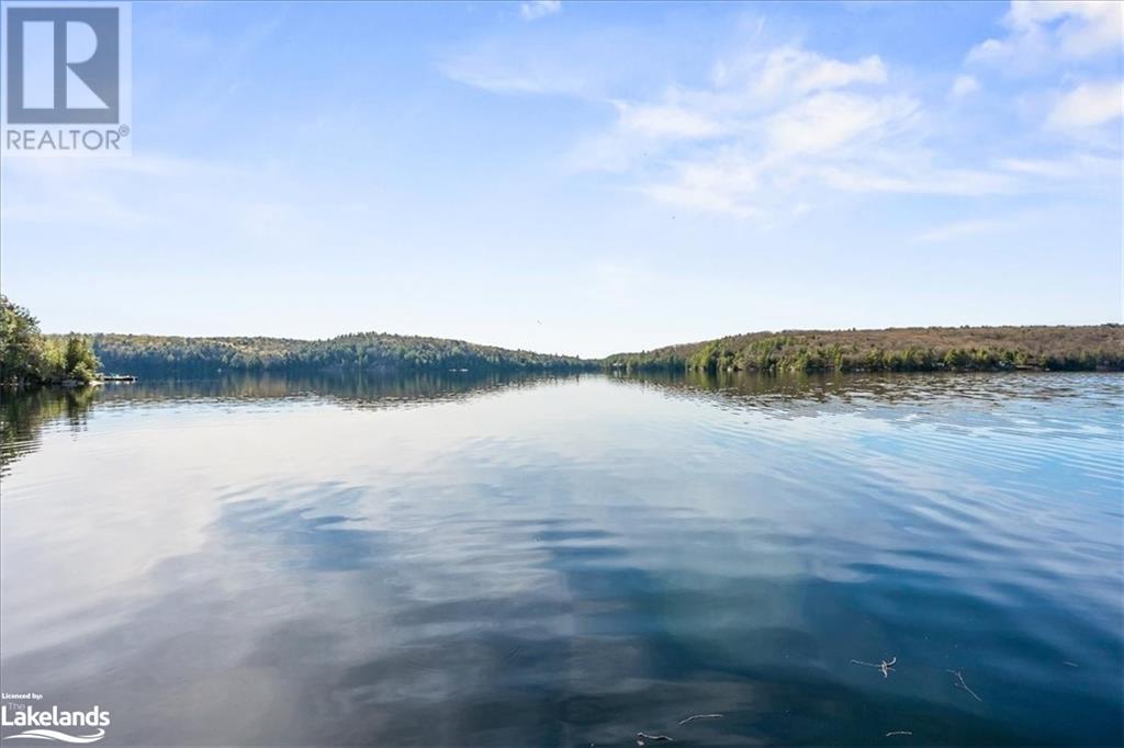 12865 Little Hawk - South Shore Lake, Haliburton, Ontario  K0M 1J1 - Photo 43 - 40585576