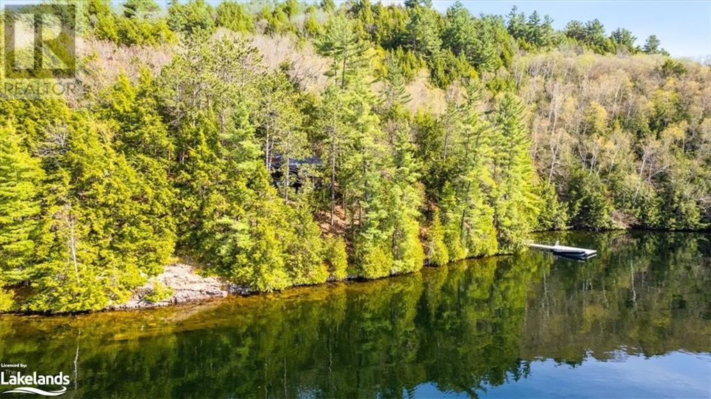 12865 Little Hawk - South Shore Lake, Haliburton, Ontario  K0M 1J1 - Photo 47 - 40585576