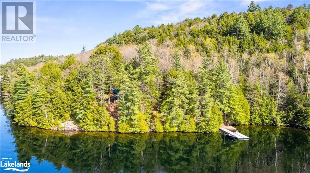 12865 Little Hawk - South Shore Lake, Haliburton, Ontario  K0M 1J1 - Photo 48 - 40585576