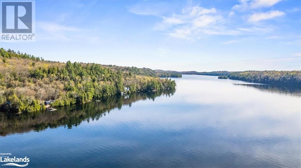 12865 Little Hawk - South Shore Lake, Haliburton, Ontario  K0M 1J1 - Photo 50 - 40585576