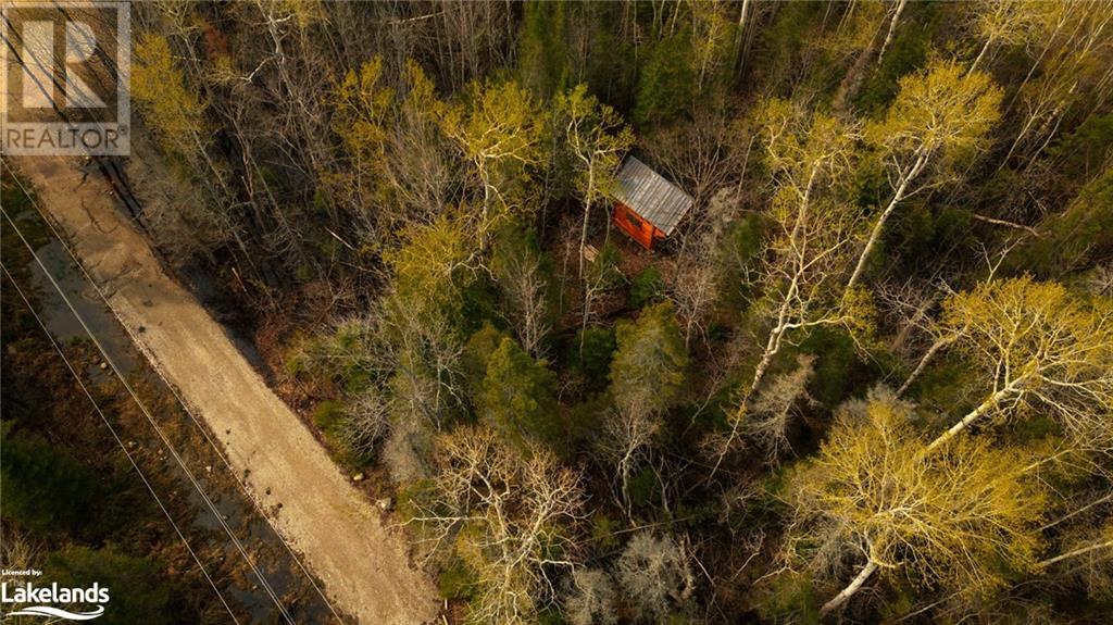 81 High Falls Road, Assikinack, Ontario  P0P 1N0 - Photo 12 - 40590334